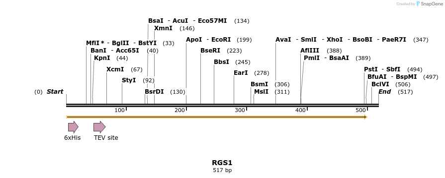 49194_map