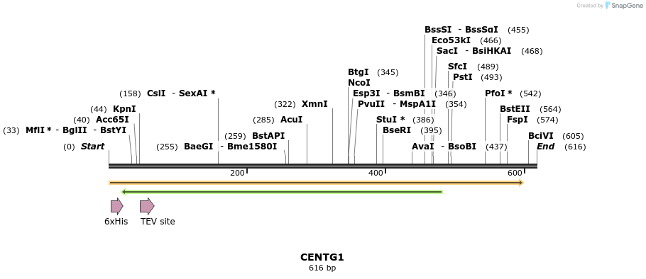 49195_map