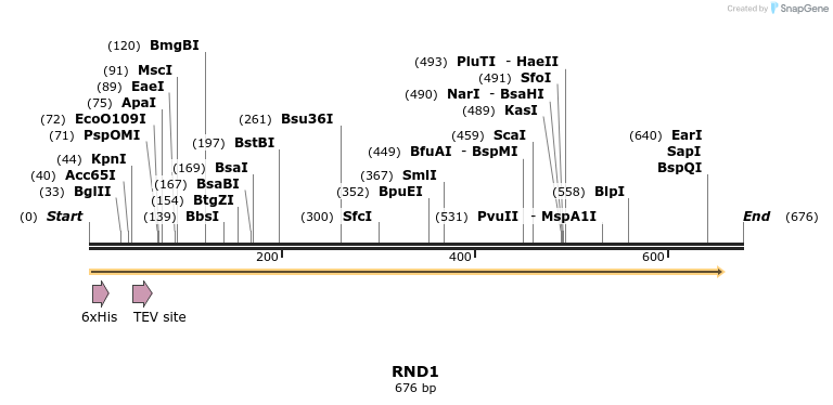 49196_map