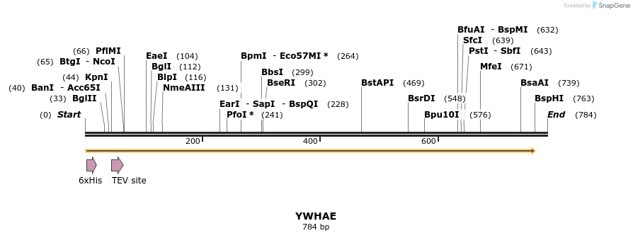 49197_map