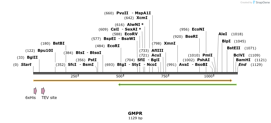 49198_map