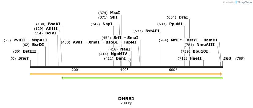 49199_map