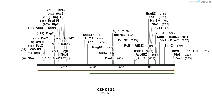 49201_map