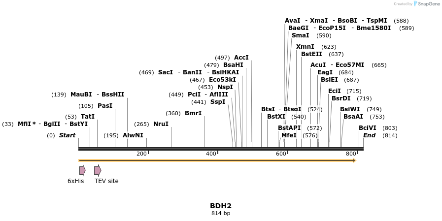 49202_map