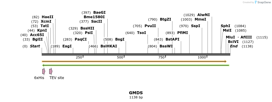 49203_map
