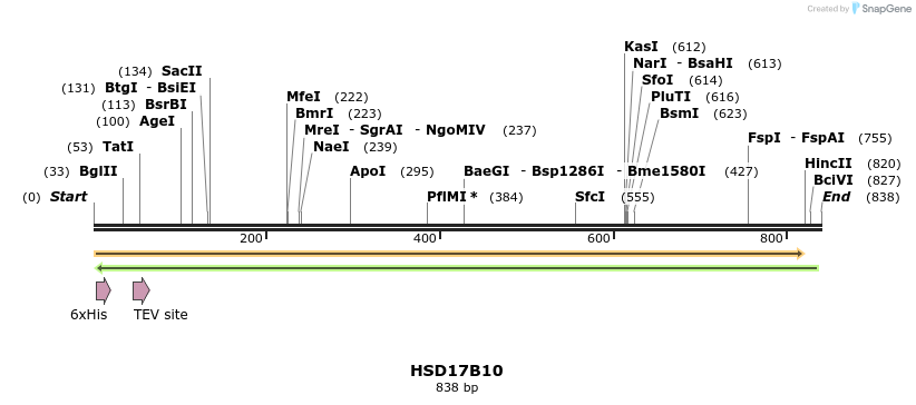 49204_map