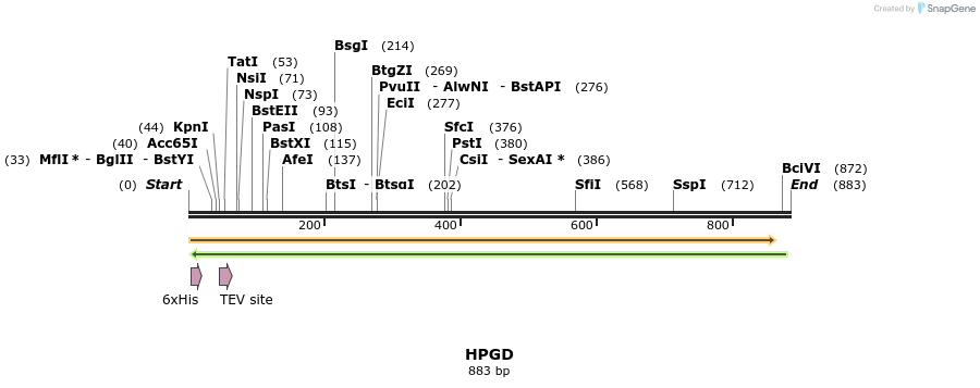 49205_map