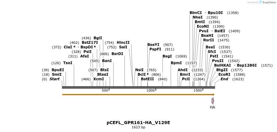 492056_map