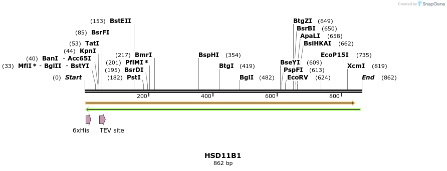 49206_map