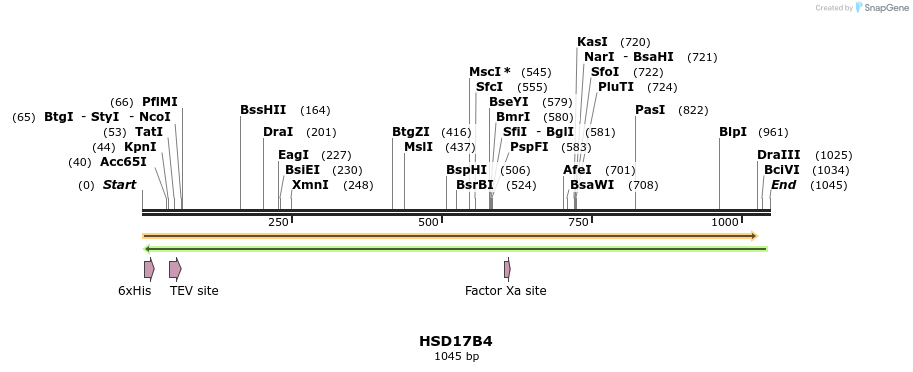 49207_map