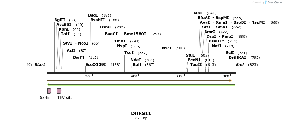 49208_map