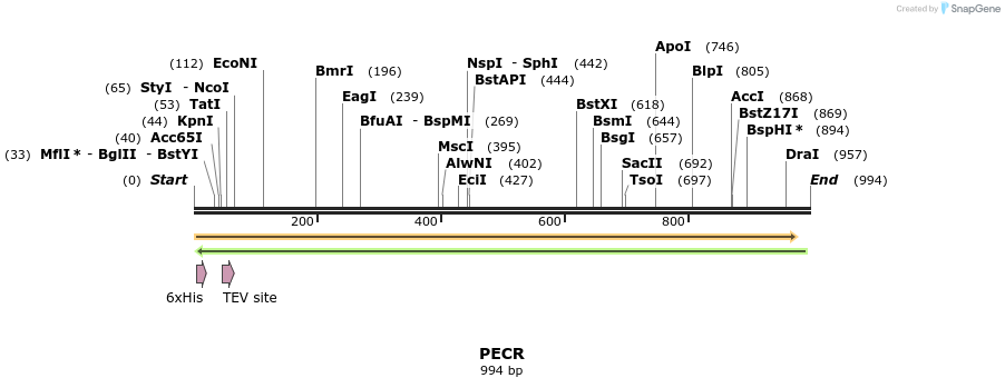 49209_map