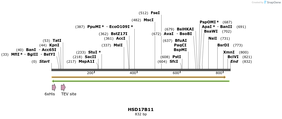 49210_map