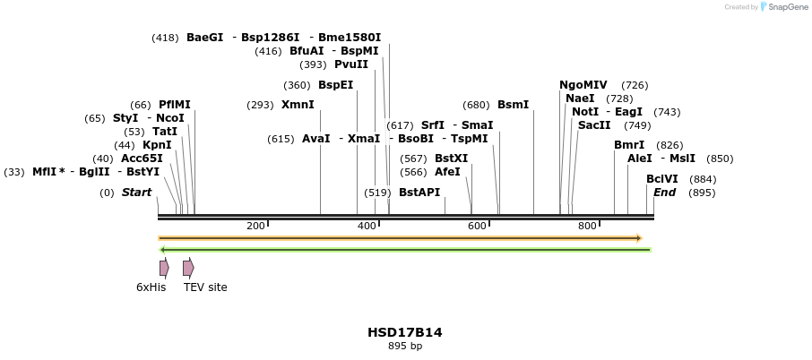 49211_map
