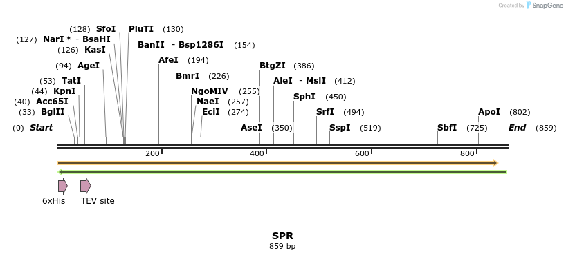49212_map