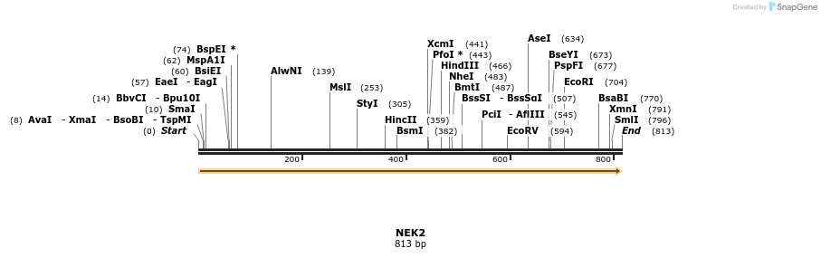 49214_map