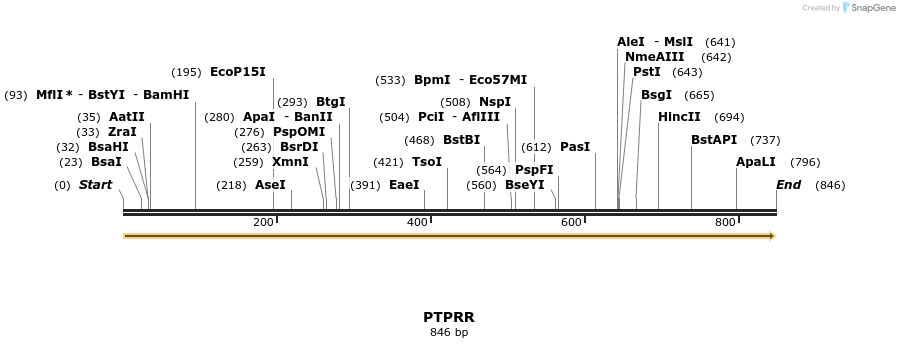49215_map