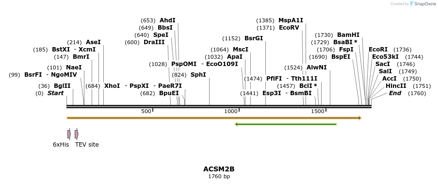 49218_map