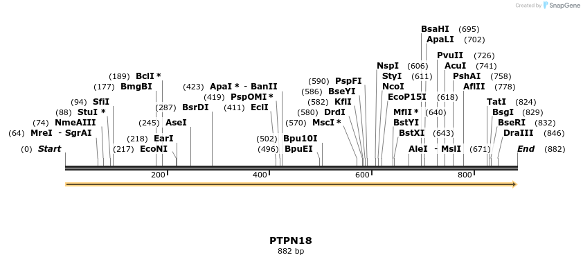 49219_map