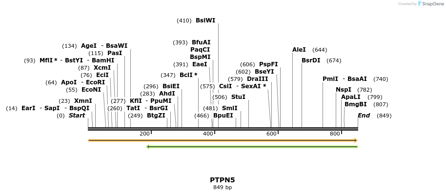 49220_map