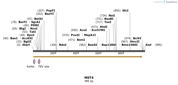 49223_map
