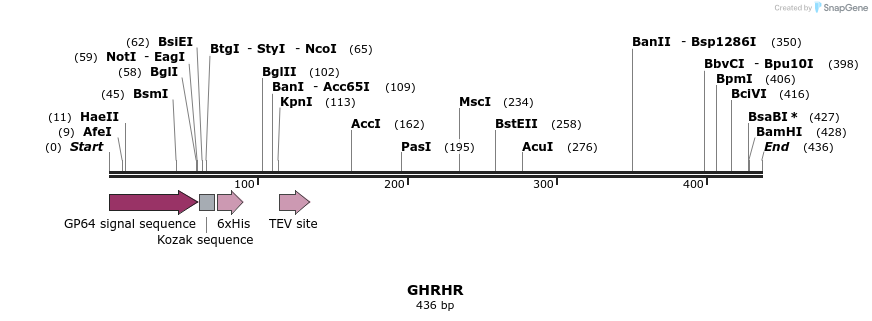 49224_map