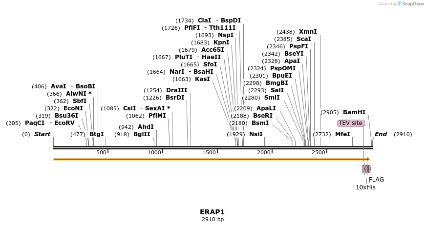 49225_map