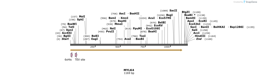 49226_map