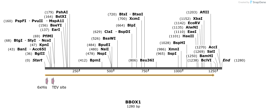 49227_map