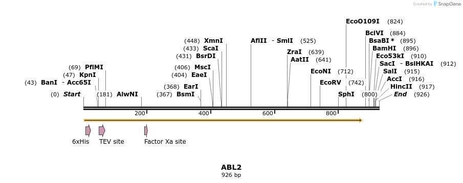 49229_map