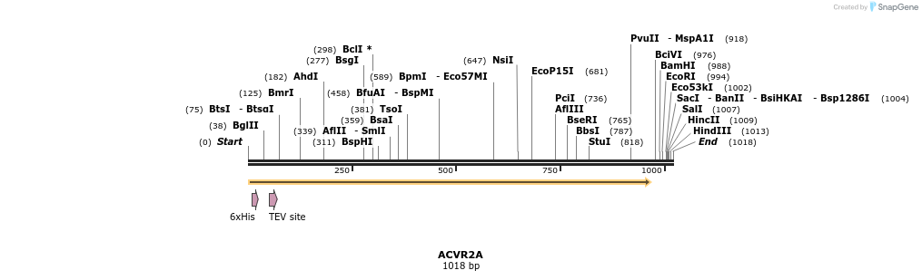 49231_map