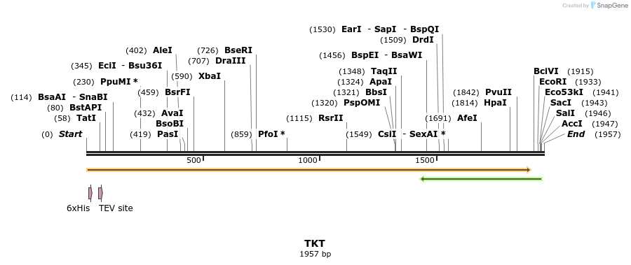 49233_map