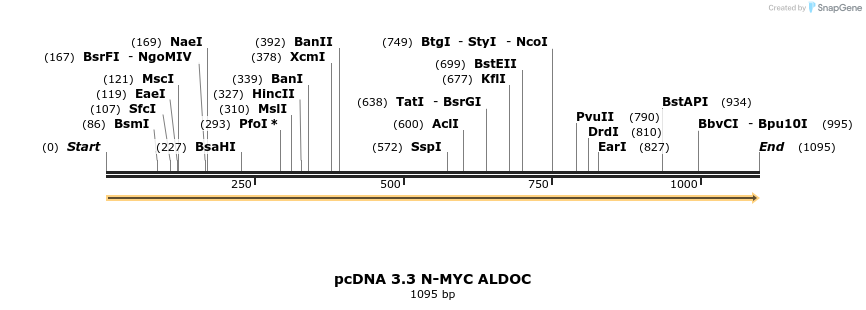 492381_map