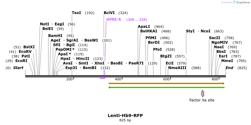 49239_map