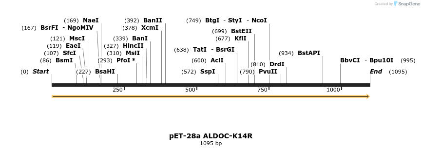492391_map