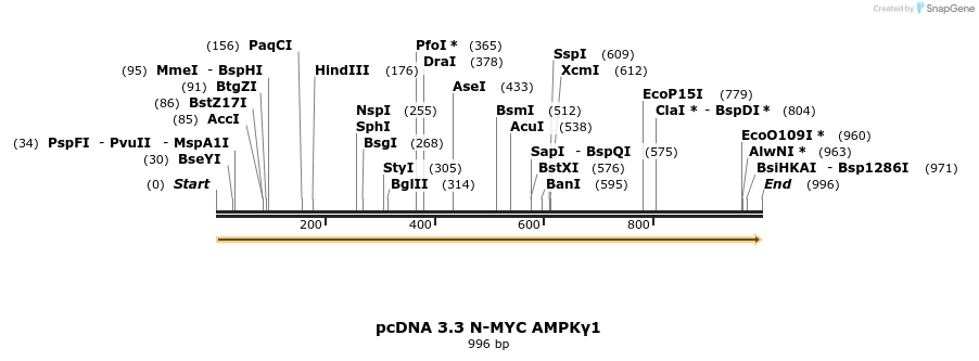 492393_map