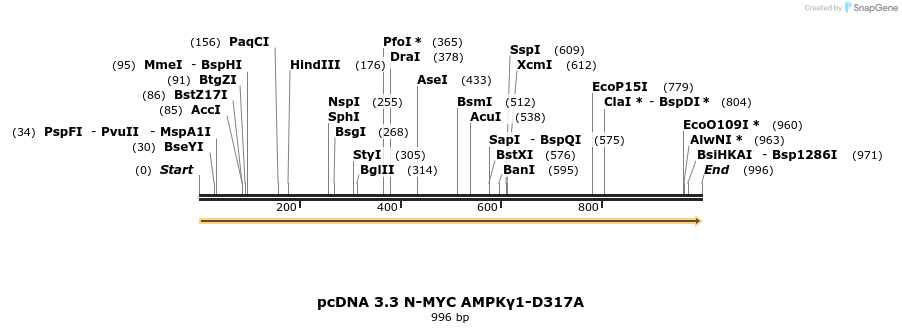 492395_map