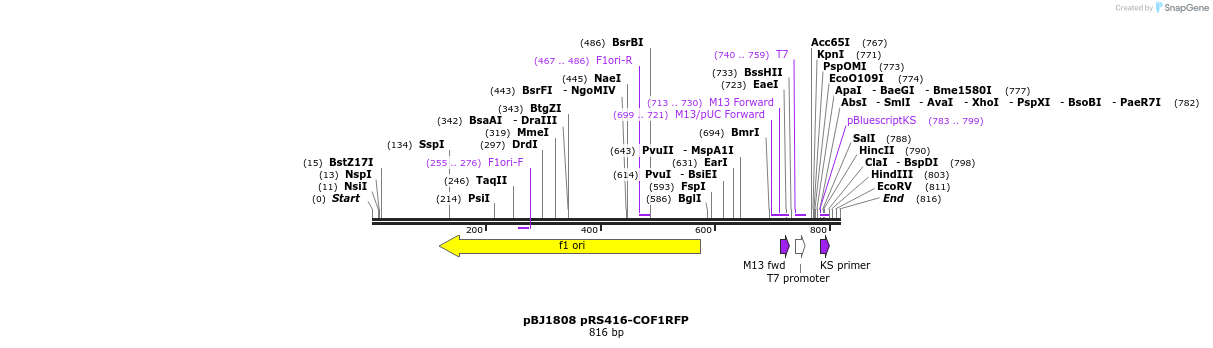 49242_map