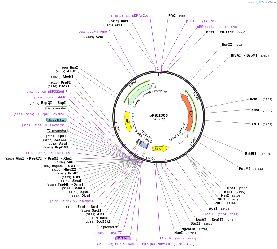 49258_map