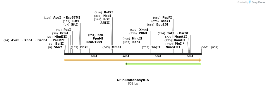 49271_map