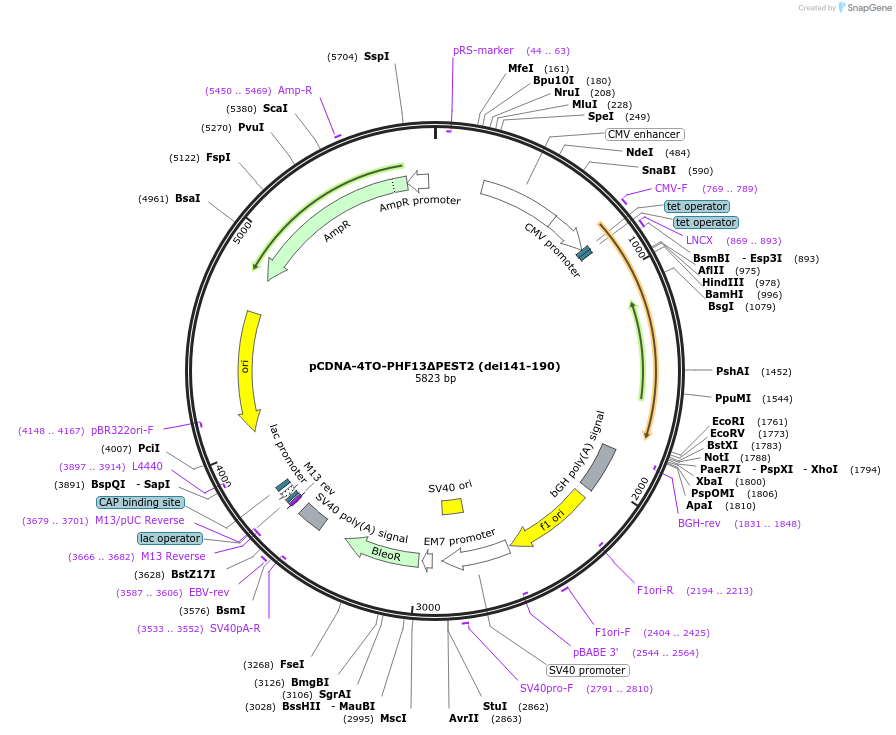 492733_map