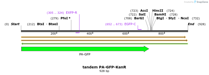 49274_map