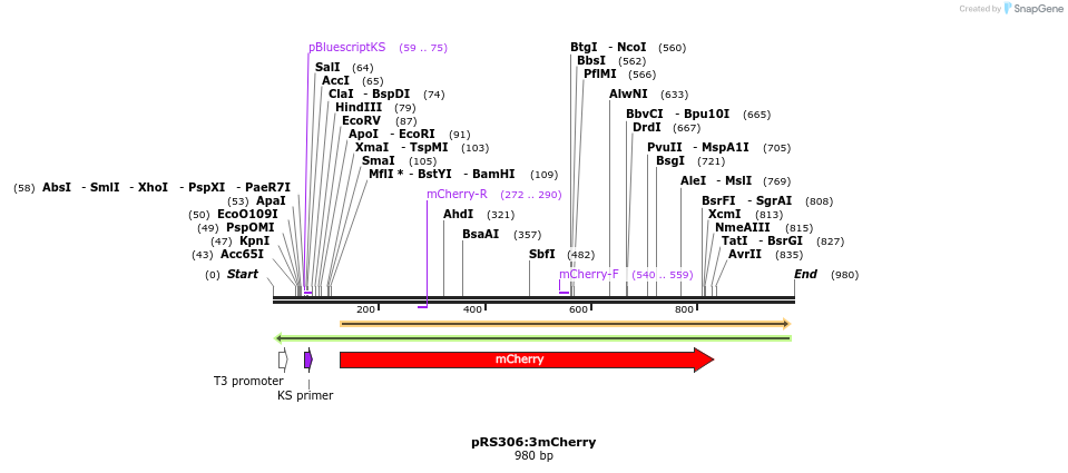 49276_map