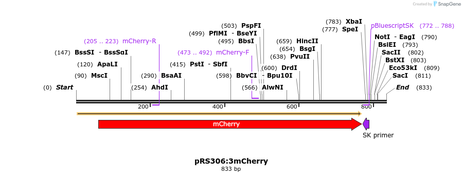 49277_map