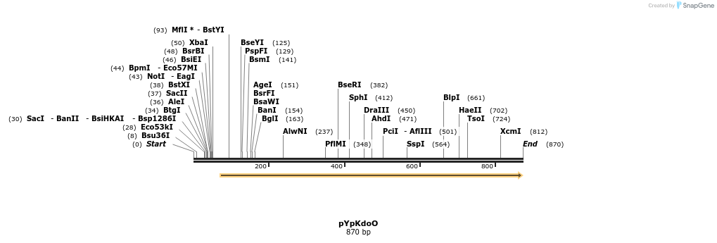 49278_map
