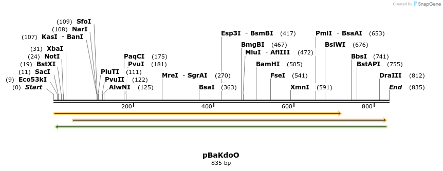 49279_map