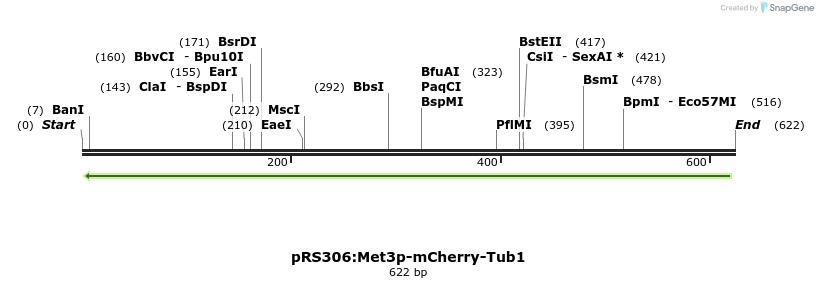 49280_map