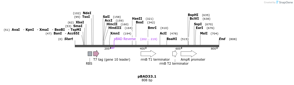 49281_map