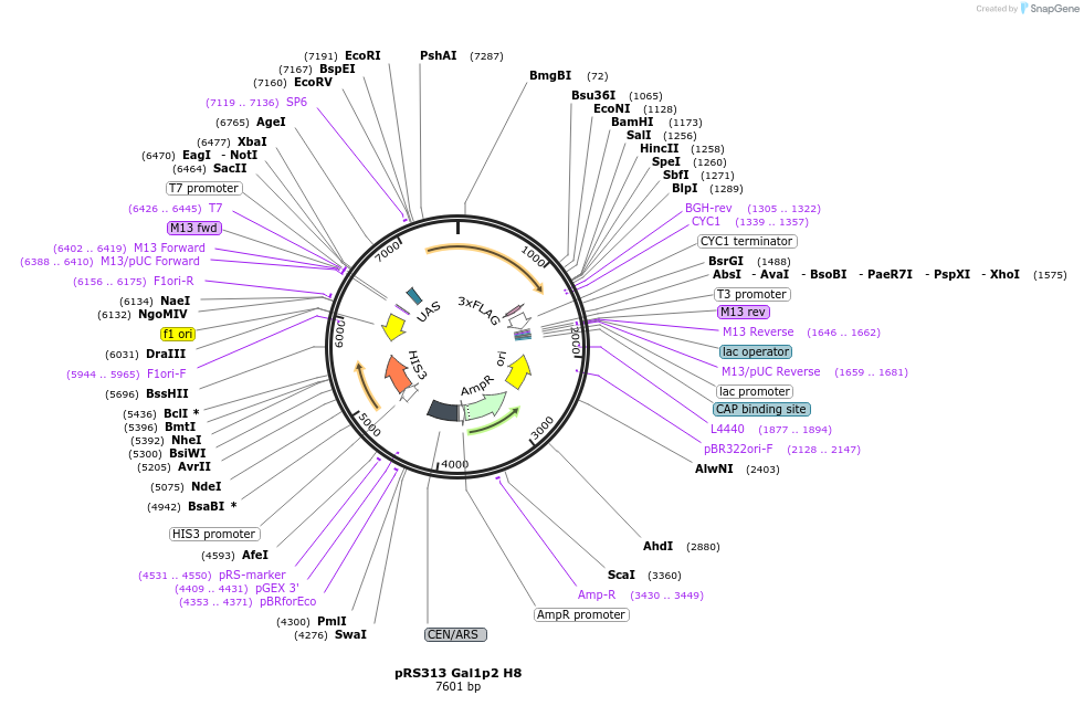 492810_map