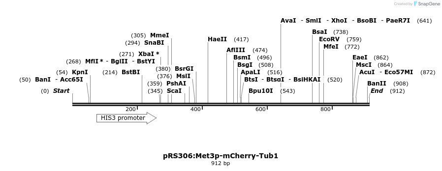49282_map